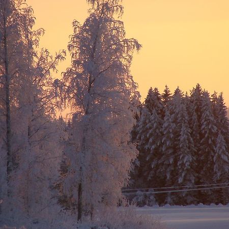 Villa Tiirinkallio Nilsiä Cameră foto