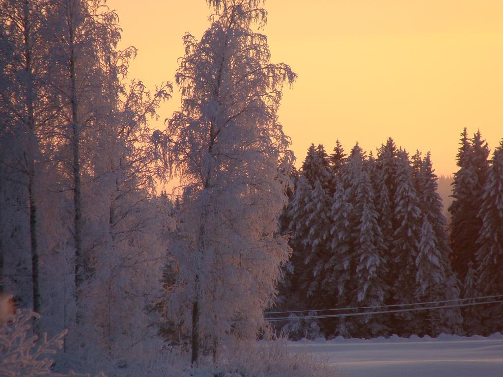 Villa Tiirinkallio Nilsiä Cameră foto