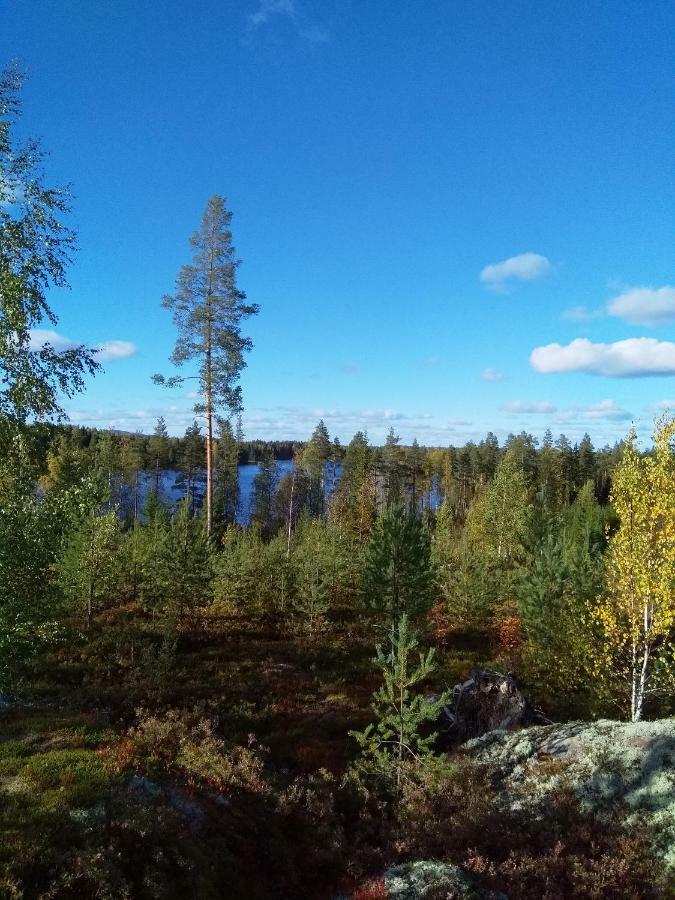 Villa Tiirinkallio Nilsiä Exterior foto